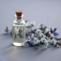 Understanding Eau de Toilette: A Comprehensive Guide